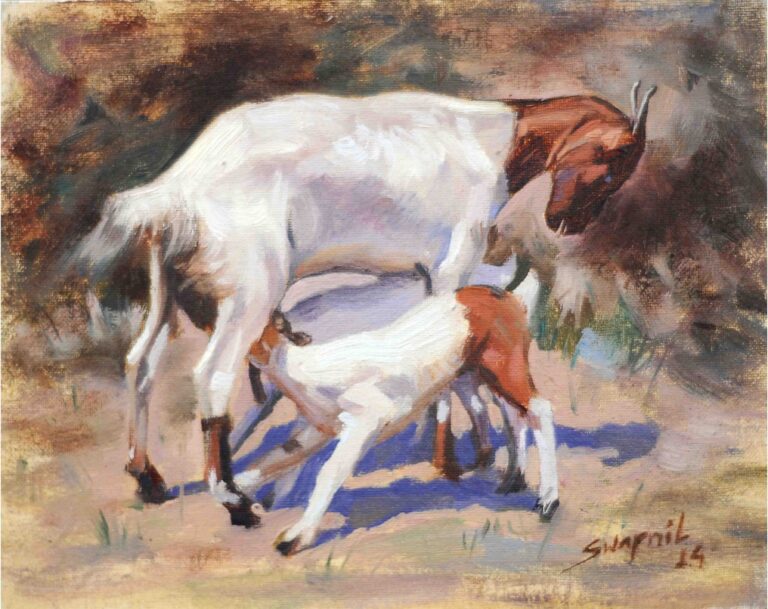 goat 8x10inch oil on canvas price-15000